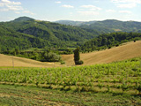 Monte delle formiche